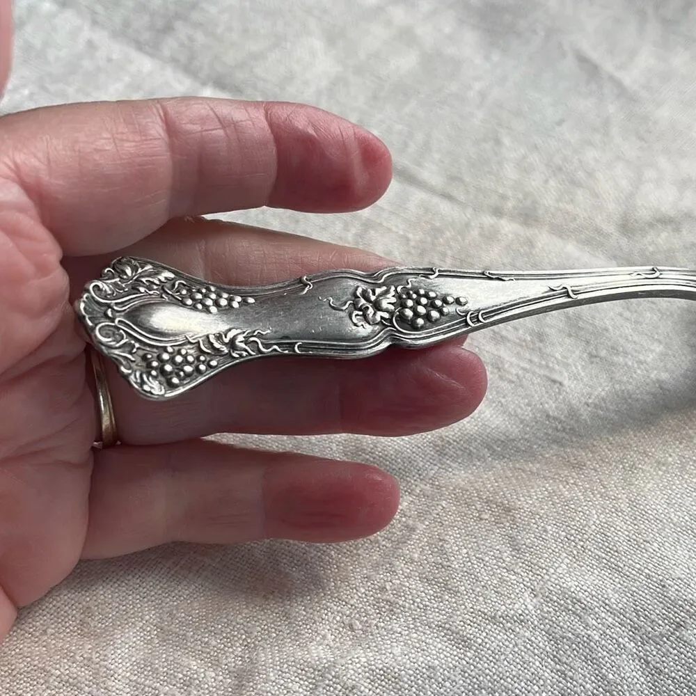 1847 Rogers Bros XS Triple La Grapevine  or Old colony  pattern servering spoon
